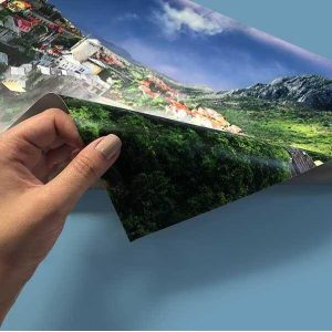 اکوسالونت-سولیت